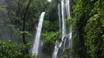 Costumize trip Sekumpul Waterfall,Wanagiri Hill Hidden & Handara Gate Heaven