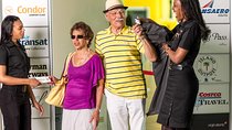 Club Mobay Fast Track Lounge with Private Airport Shuttle