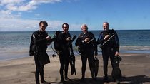 Underwater Scooter Dive (Certified Divers Only) Makena Wailea 