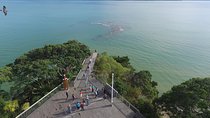 Auckland Private Tour including Airport Transfer