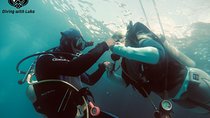 Full day diving with private guide, lunch drinks transportation