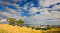Private Auckland Volcanoes Luxury Tour