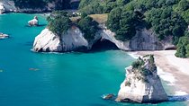 Auckland to Coromandel Private Tour