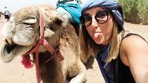 Half day Quad and Dromedary