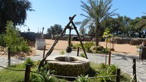Abu Dhabi City Tour from Dubai with Grand Mosque