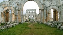 Private Trip: St Simeon Monastery including Motorboat and Camel Ride