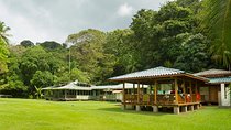 Corcovado National Park From Manuel Antonio In One Day