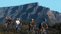 Table Mountain e-Bike Trip from Cape Town 