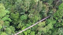 Mistico Hanging Bridges