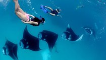 One Day Snorkeling Trip & West Tour Nusa Penida by Penidago