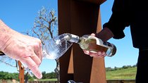 Wine Tasting and Art Tour