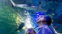 SEA LIFE Loch Lomond General Admission Ticket