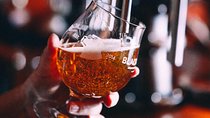 Barcelona Craft Beer Tour with a Brewery Tour and 3 Local Bars