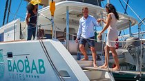 Whale Watching for 3 hours in Tenerife