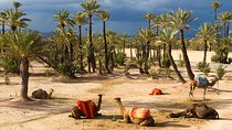 The Grand Tour Of Morocco