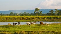 6 Days Chepang Village Homestay Hill Hike