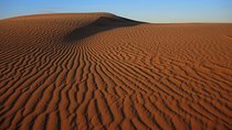 Gobi Tour May 2019 02-07 June