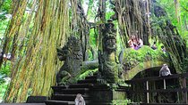Customizable Bali 5 days Transport Package