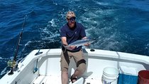 Platinum Charter Privado de Pesca