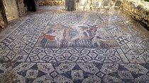 Volubilis and Meknes: Private day trip from Fez with Hotel pick up