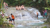 Mayfield Falls Private Tour