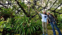 Kinabalu National Park Tour