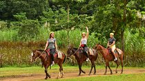 ATV Adventure + Horseback Riding and Natural Swimming Pool 