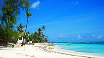 Nungwi Village & Sea Turtle Swimming Tour with Transfer-Zanzibar