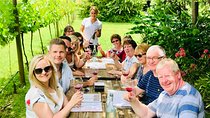 Mount Tamborine Wine Tasting Tour from Brisbane or the Gold Coast