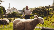 Dublin to South West 5 Day Small-Group Tour with Accommodation