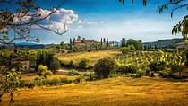 Private Carmignano Tour: The First Cabernet Sauvignon in Tuscany
