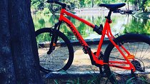 Bike Tour in Mexico City