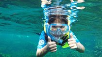 VIP Cenotes Private Tour