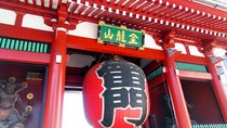 Full Day Tokyo Chartered Taxi Tour