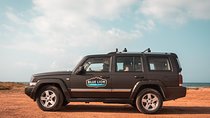 Private Morning Mykonos Safari Tour with Personal Driver