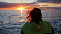 Midnight Sun Whale Watching from Reykjavik