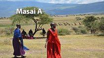 5 Days Budget Camping Safari in Northern Circuit