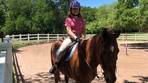 Horseback Riding and Wine Tours