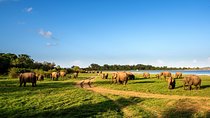 Tales of Ancient Ceylon from Bentota (2 Days)