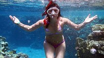 Ras Mohamed National Park Trip Snorkelling Trip