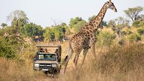 Game Drive And Rhino Walk