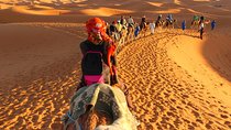 Fez to Marrakech Camel Trekking 3 days 2 Nights