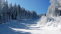 Private Arrival Transfer from Sofia Airport to Bansko