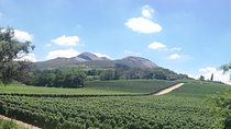 Private Full Day Tour in Cape Winelands
