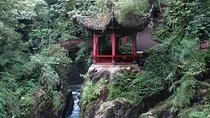 Leshan Grand Buddha & Mount Emei (Golden Summit) by high speed train 2 Day Tour
