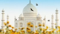 Full Day Agra Taj Mahal , Agra Fort & Baby Taj From Delhi