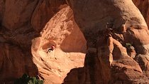 Rappelling and Stand Up Paddleboarding Combo