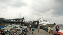 Private Tour: Crab Island Sightseeing Boat Ride and Seafood Lunch