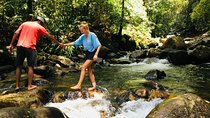 Explore Singharaja Forest Reserve (mirissa/weligama & Galle)