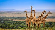 4 Days Maasai Mara